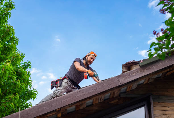 Best Skylight Installation and Repair  in Collierville, CA